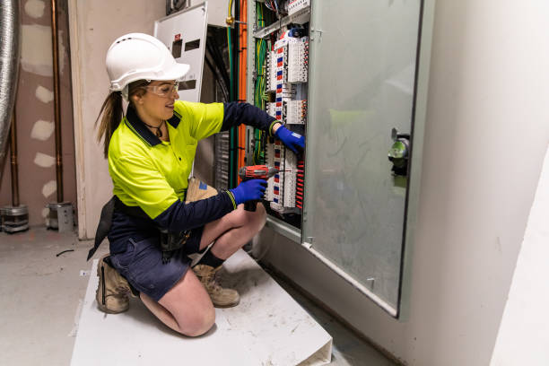 Best Industrial Electrical Services  in Delano, MN