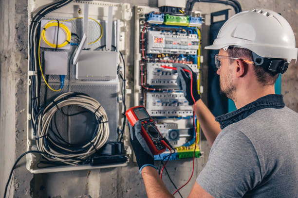 Best Electric Panel Repair  in Delano, MN