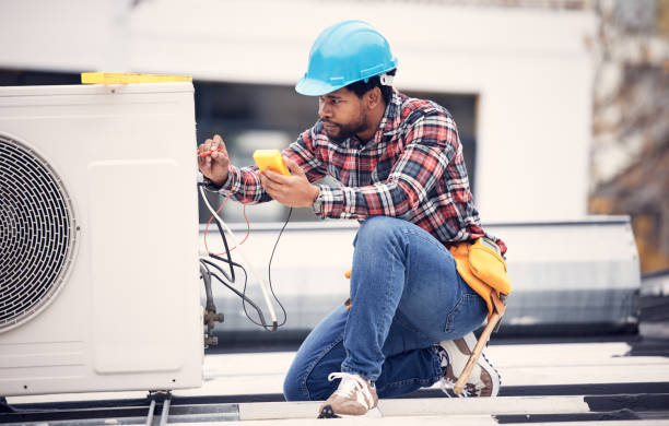 Best Ceiling Fan Installation Electrician  in Delano, MN