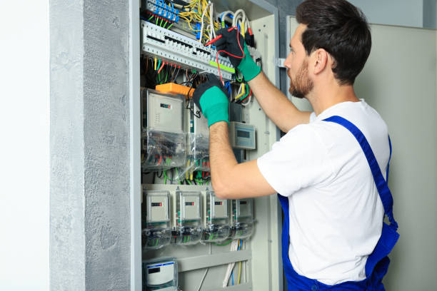 Best Home Electrical Repair  in Delano, MN